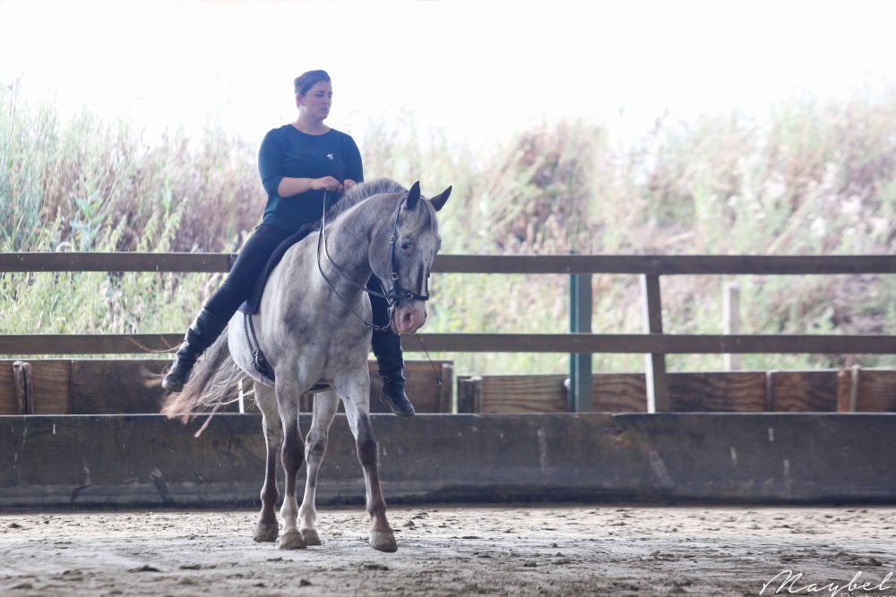 MVDL-20190720-214edit