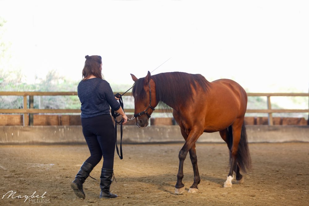 MVDL-20200912-18edit