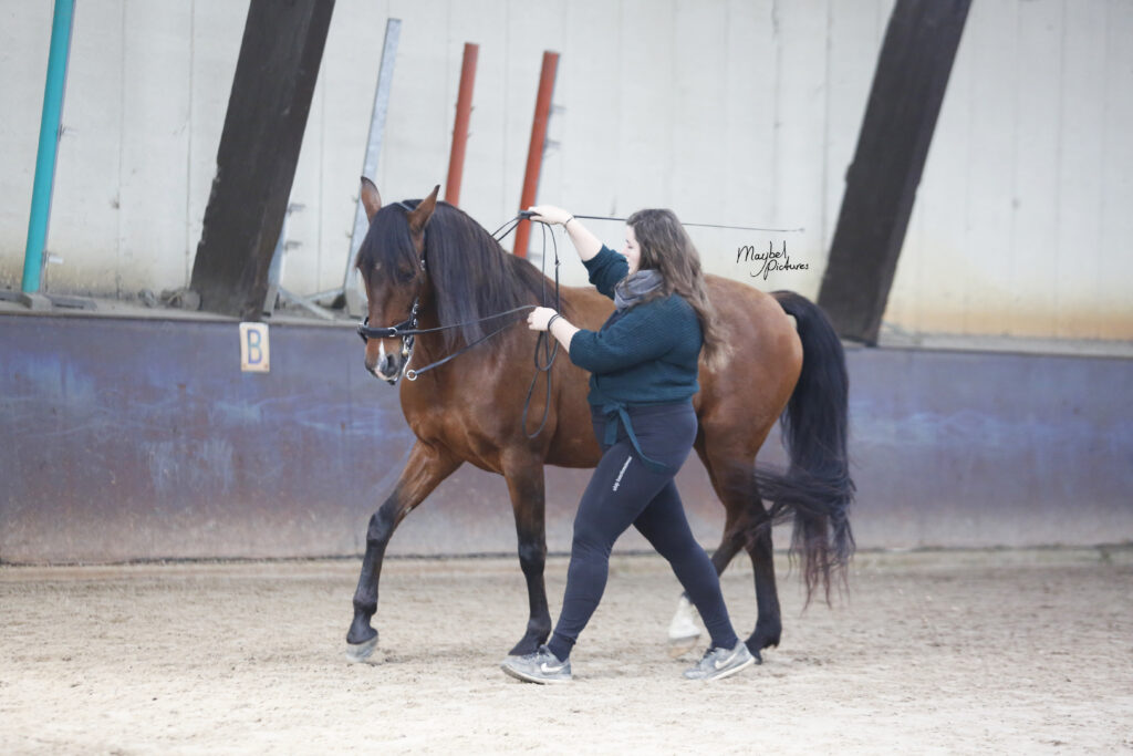 MVDL_20231028_E_00024